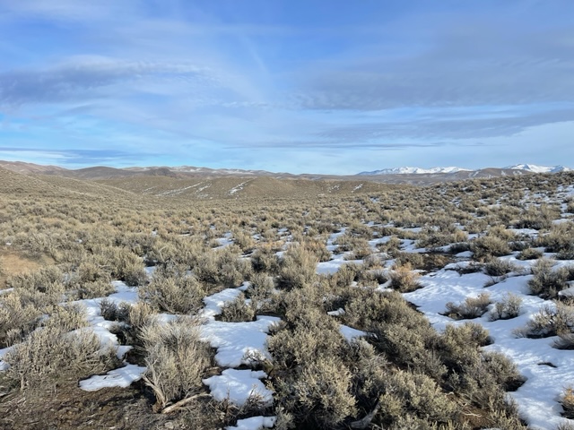 Best Views in Nevada!