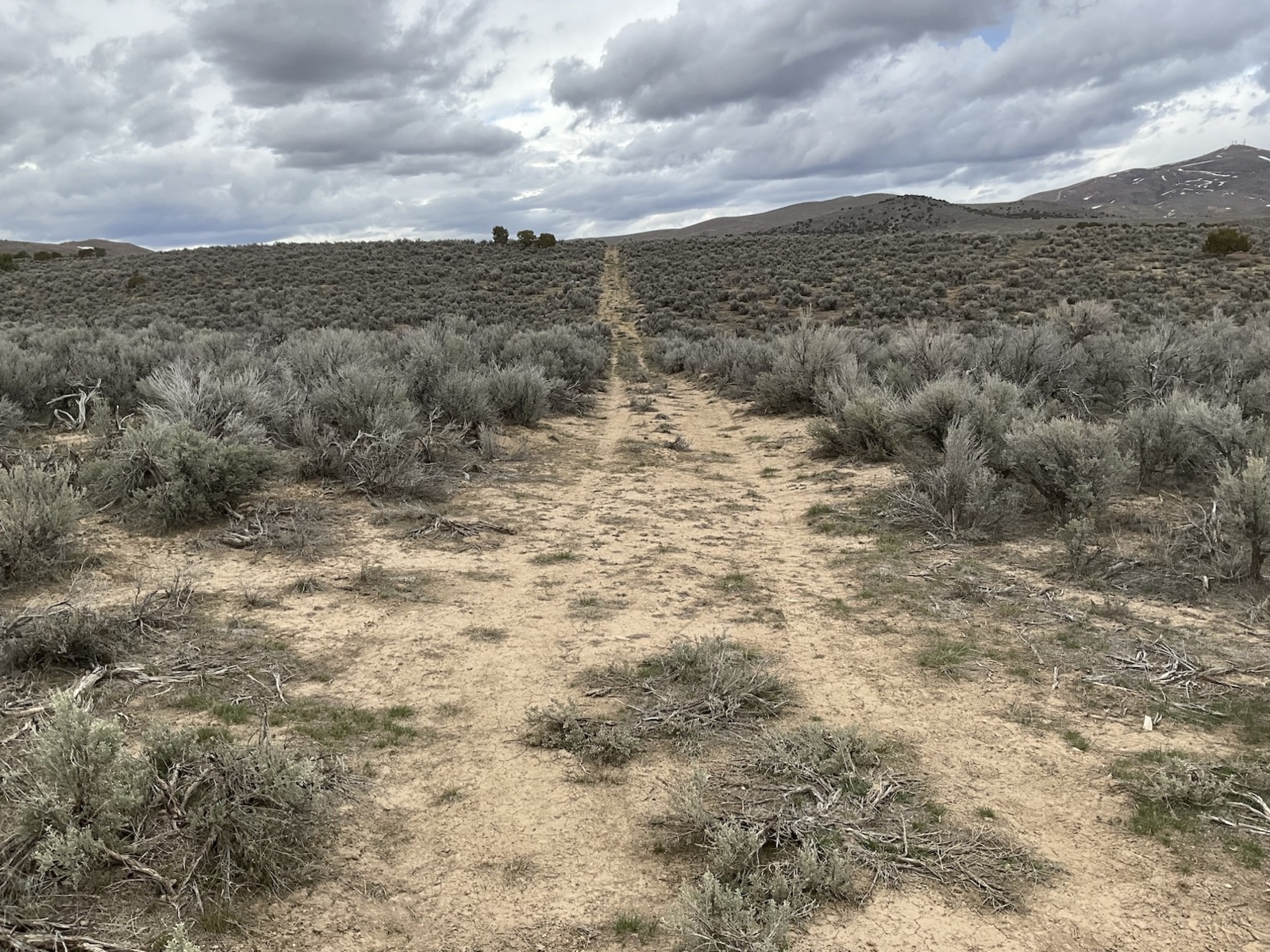 2 Acres North of Spring Creek Near the Lamoille Valley