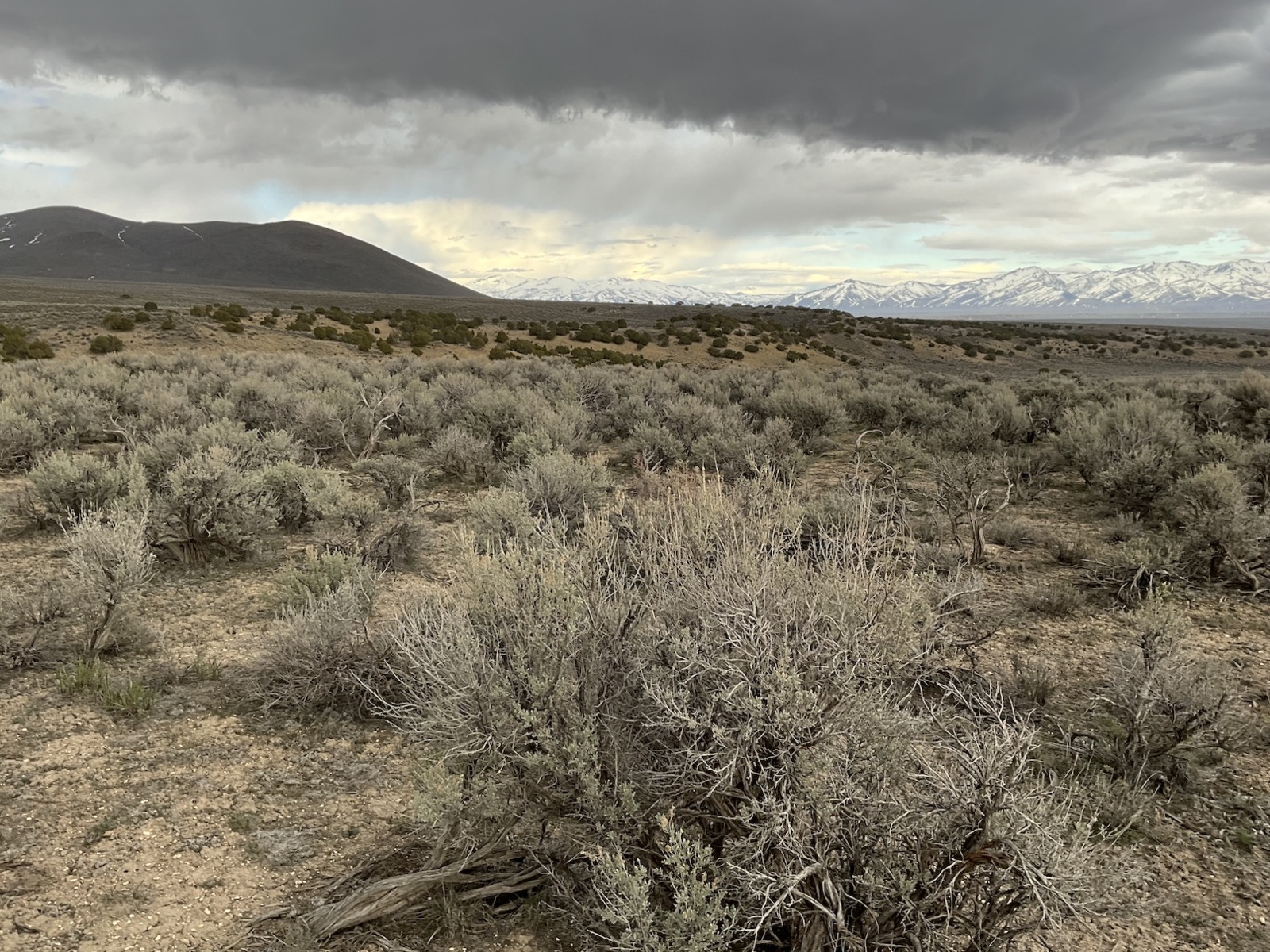 2 Acres North of Spring Creek Near the Lamoille Valley