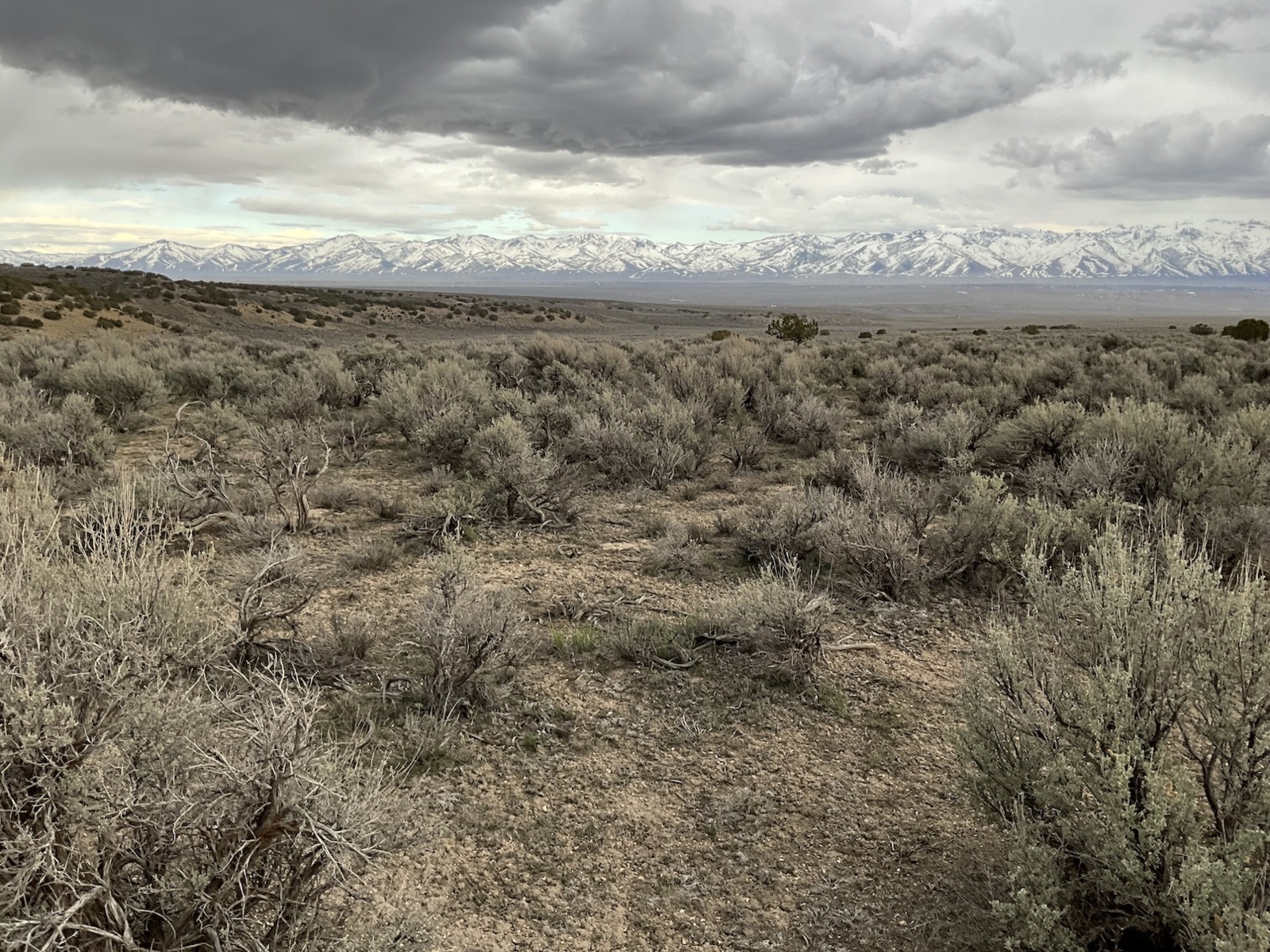 2 Acres North of Spring Creek Near the Lamoille Valley