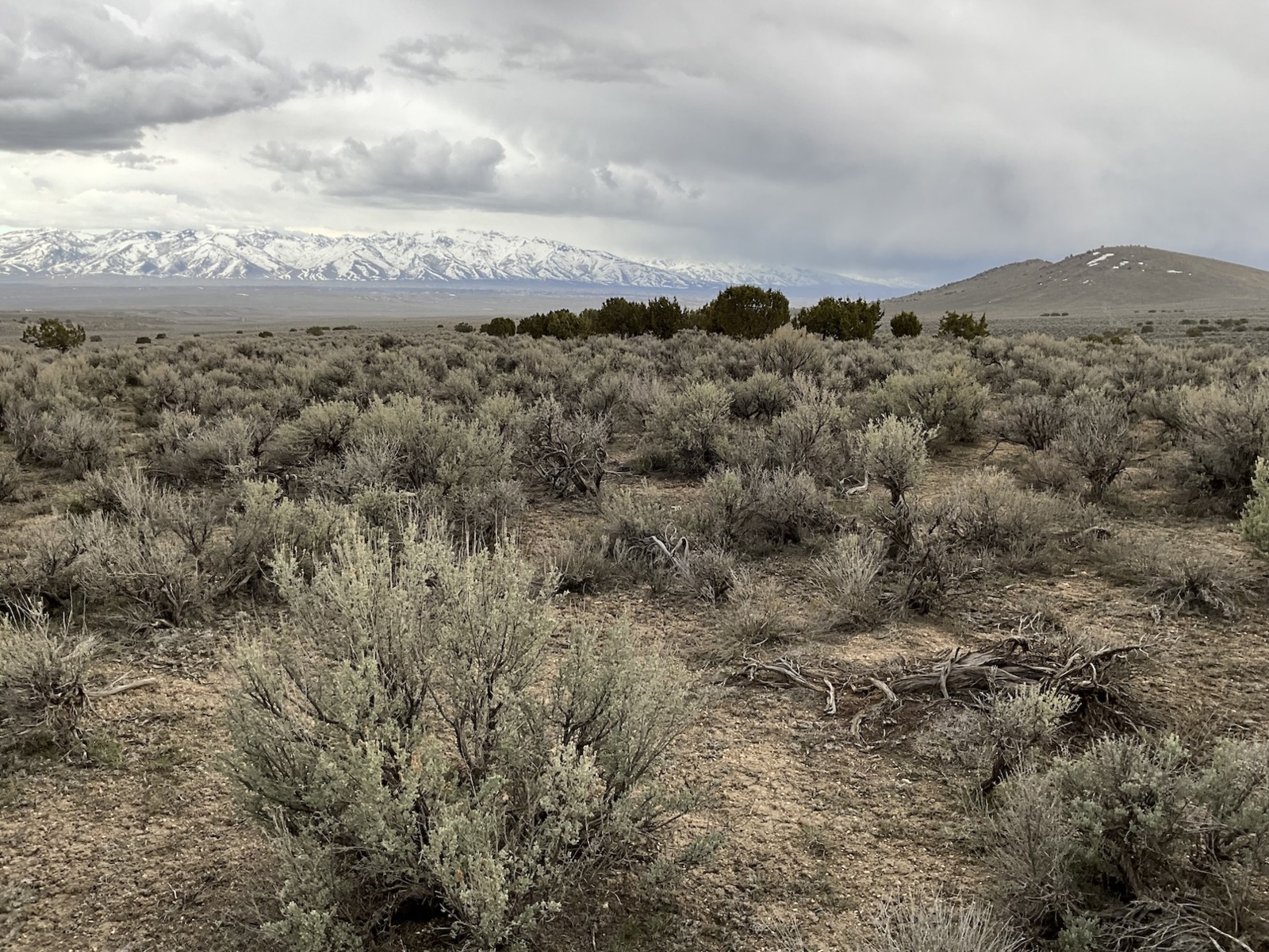 2 Acres North of Spring Creek Near the Lamoille Valley