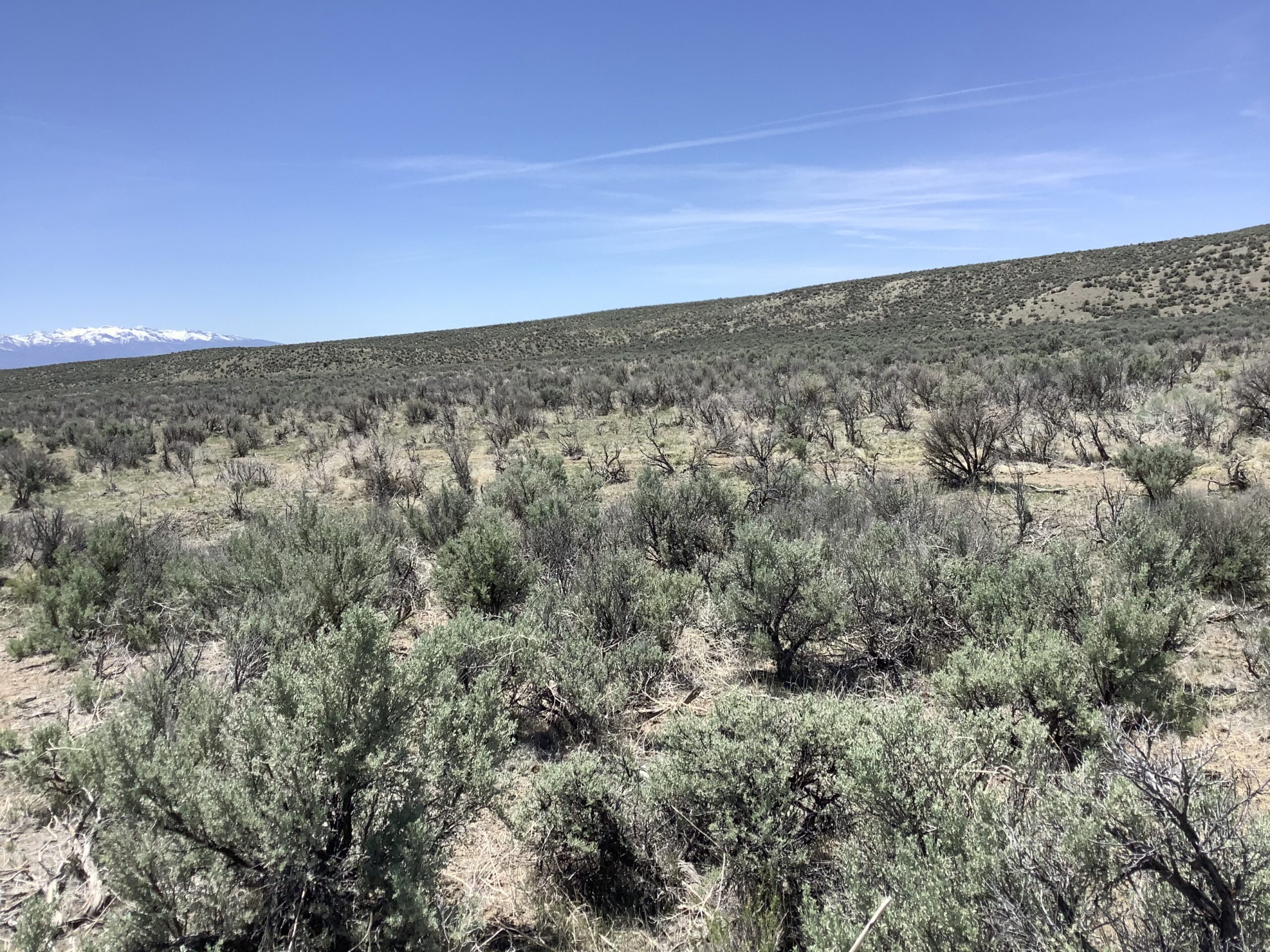 Unspoiled Hunting and Ranching Land