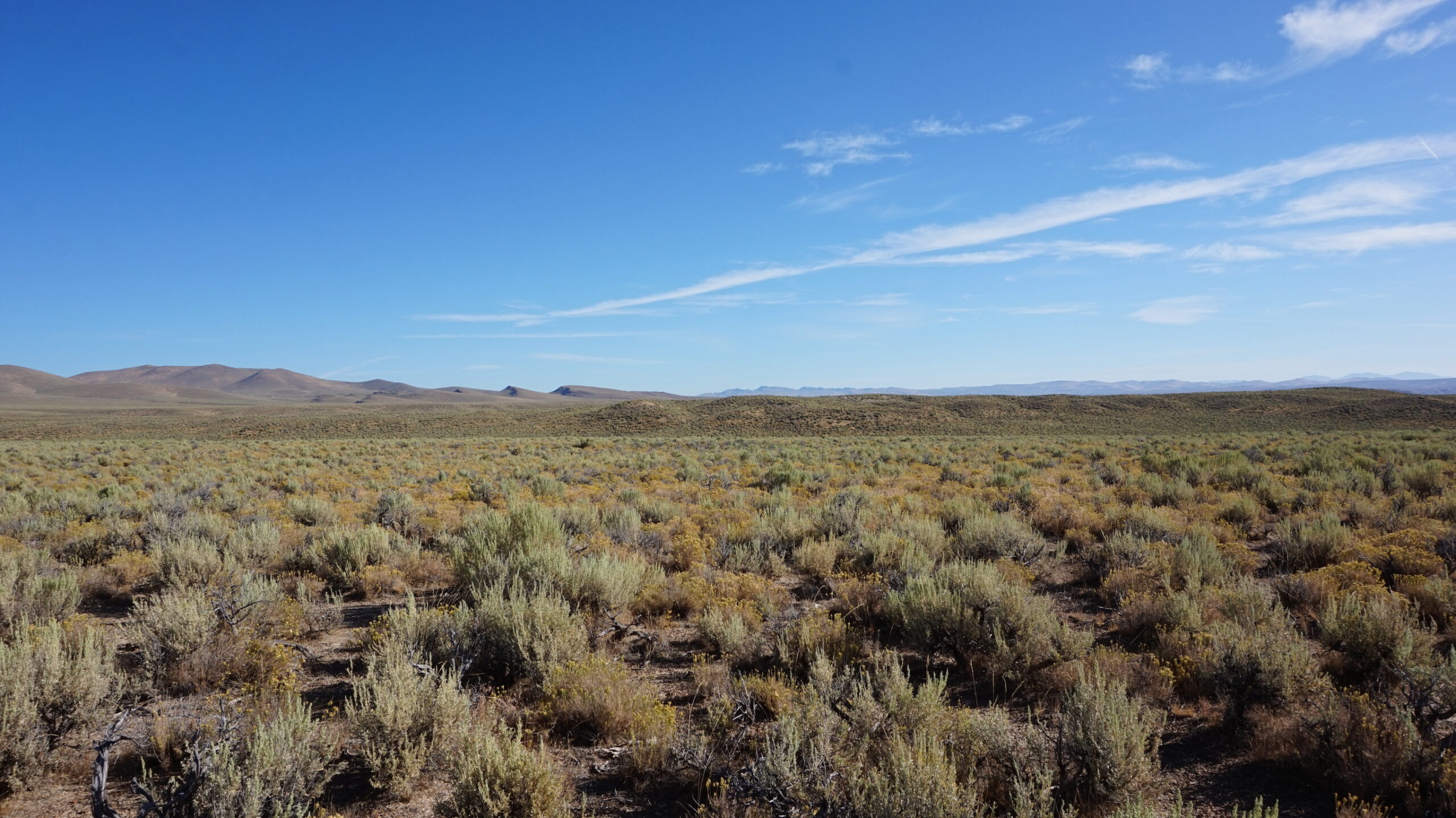 20 Acres of Unrestricted Views