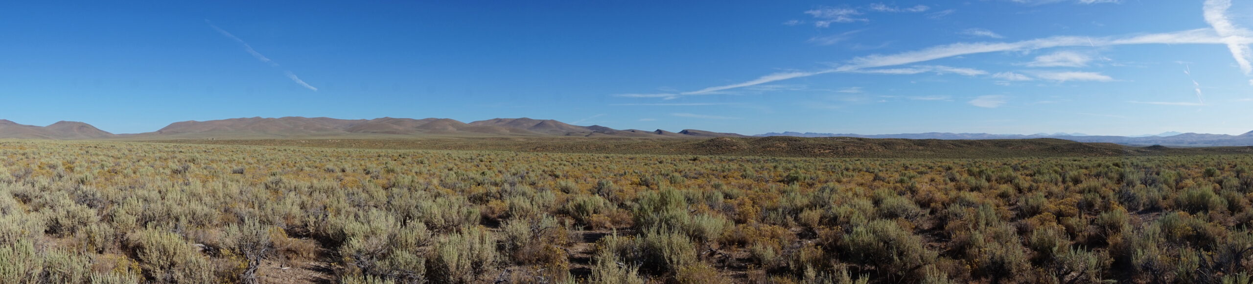 20 Acres of Unrestricted Views