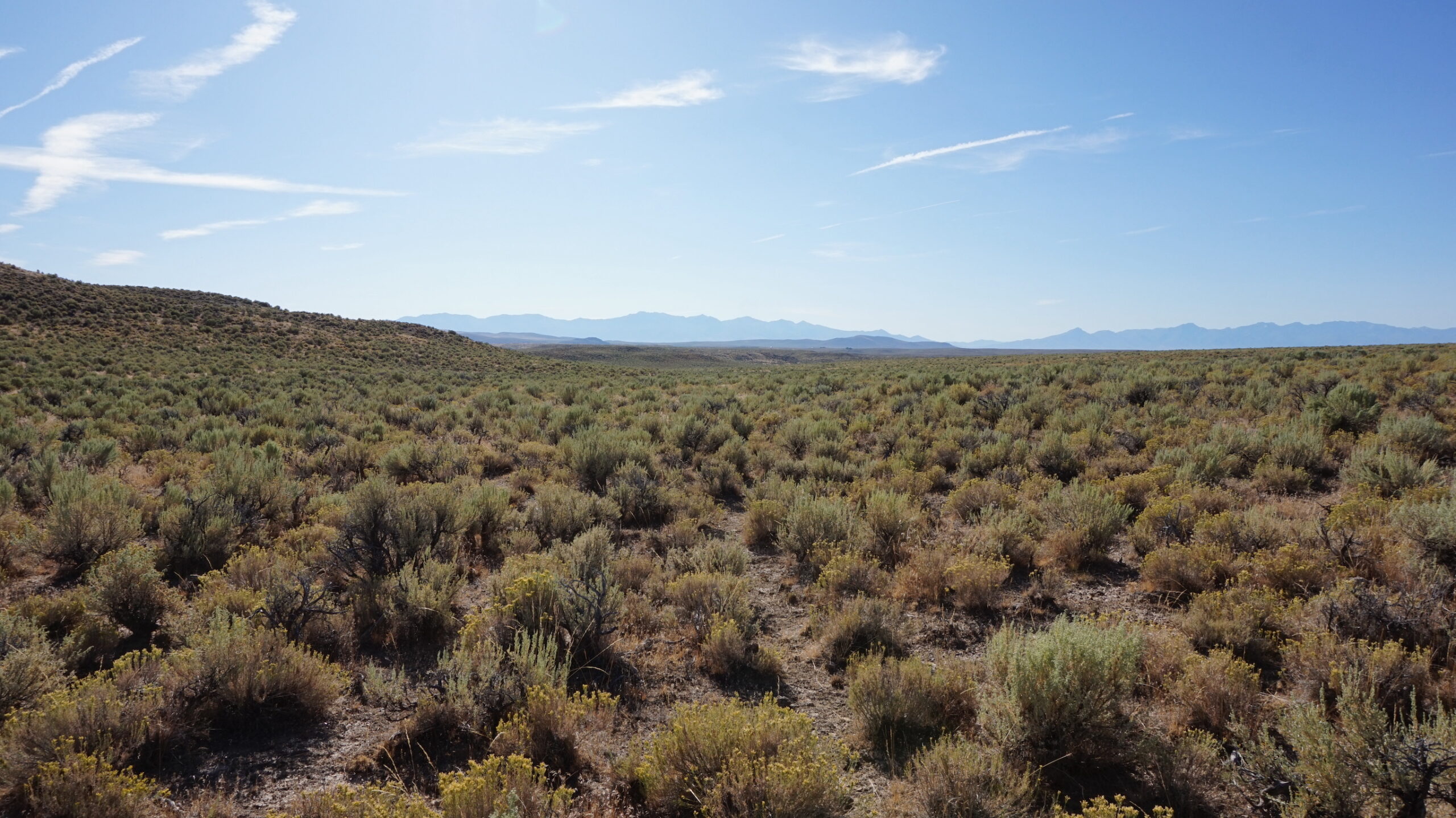 20 Acres of Unrestricted Views