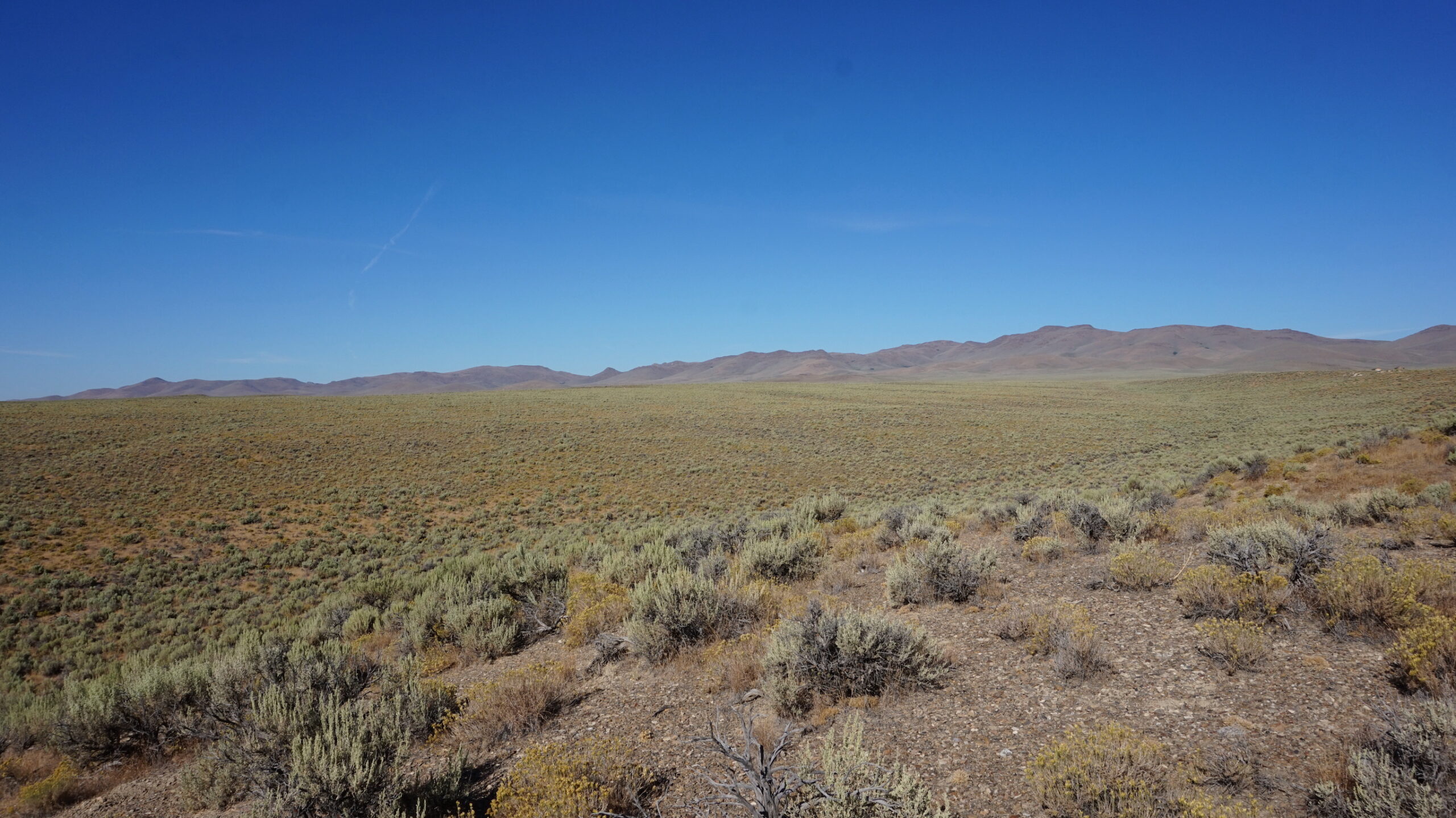 20 Acres of Unrestricted Views