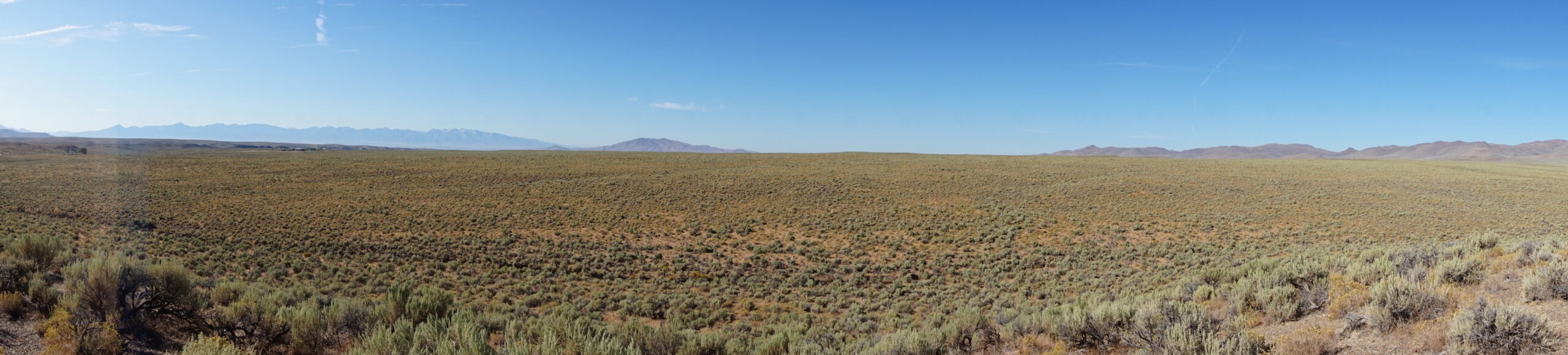 20 Acres of Unrestricted Views