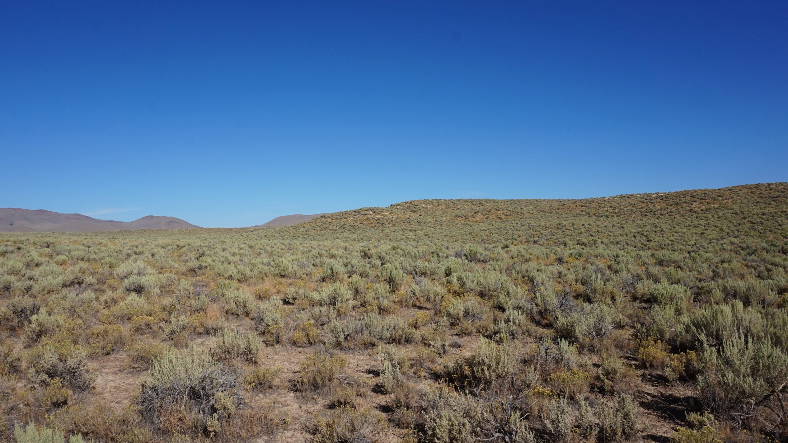 20 Acres of Unrestricted Views