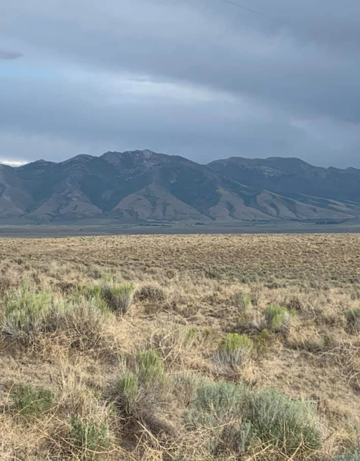 20 Acres of Unrestricted Views