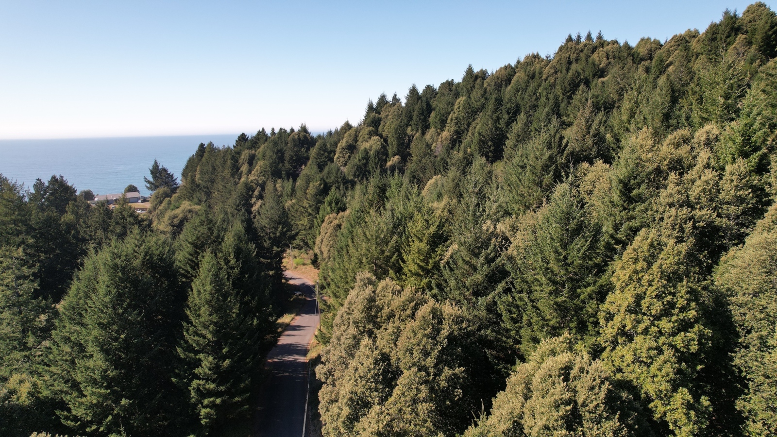 Pacific Ocean Views!