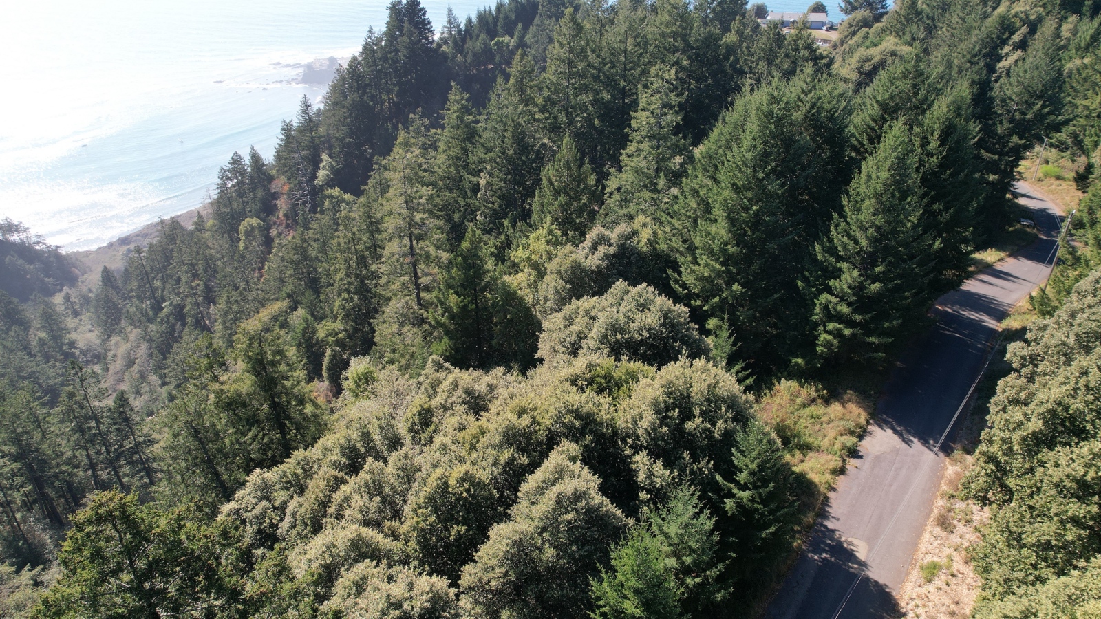 Pacific Ocean Views!