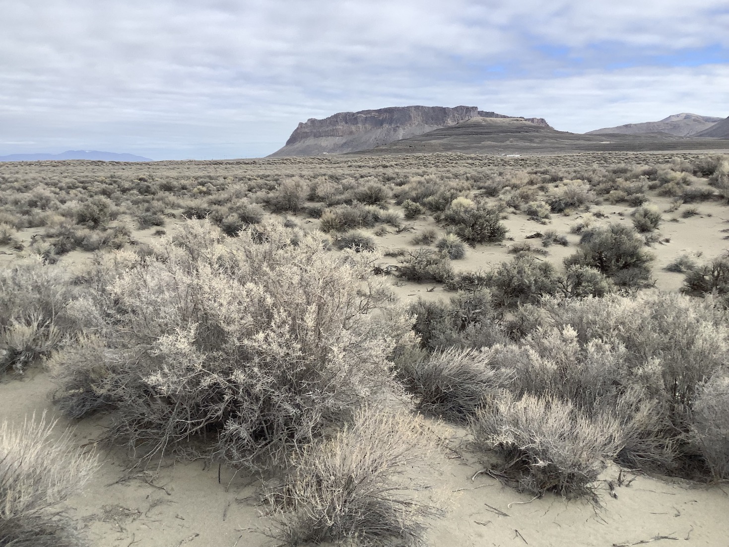 Accessable 10 Acre Plot