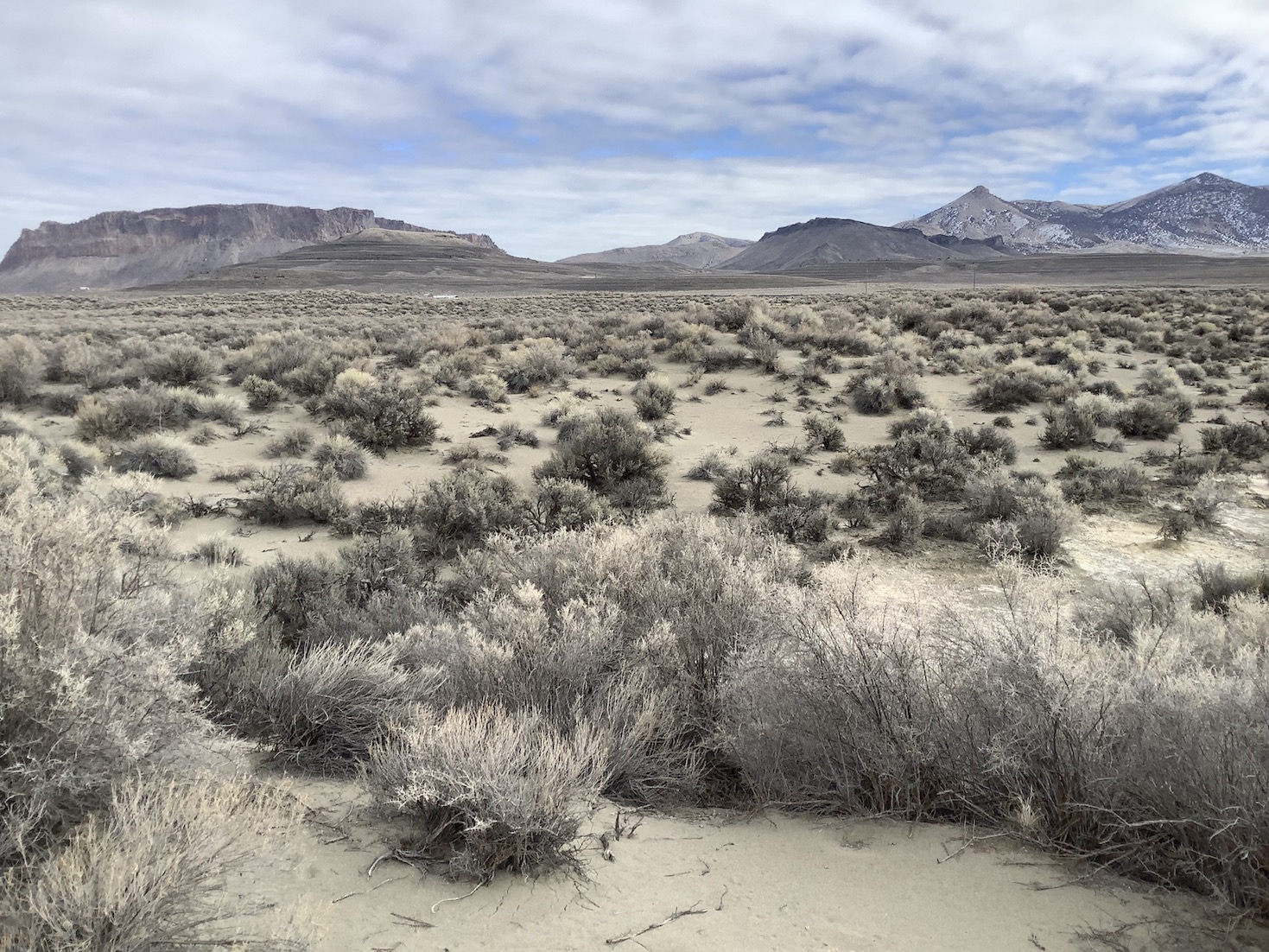 Accessable 10 Acre Plot