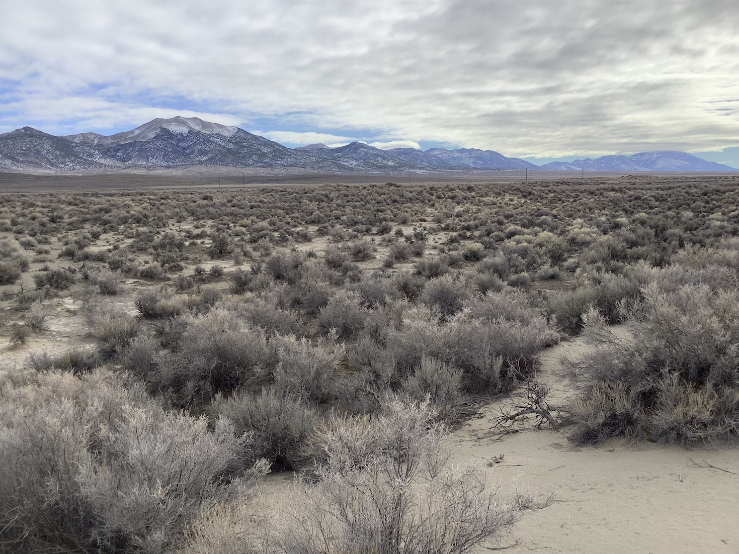 Accessable 10 Acre Plot