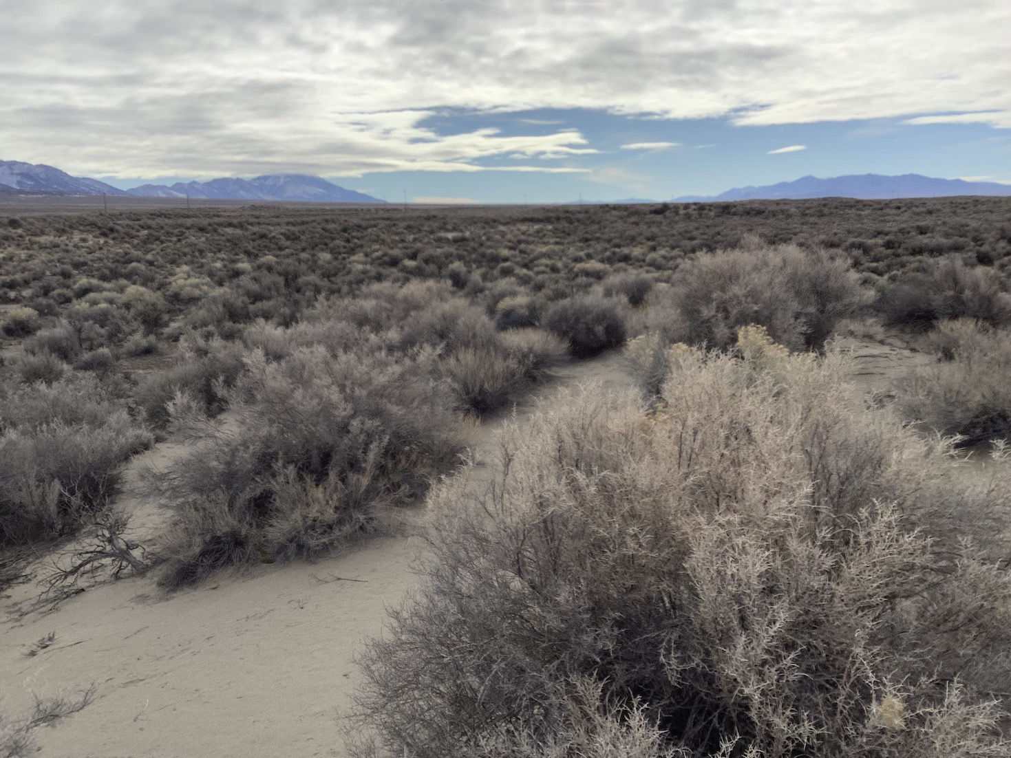 Accessable 10 Acre Plot