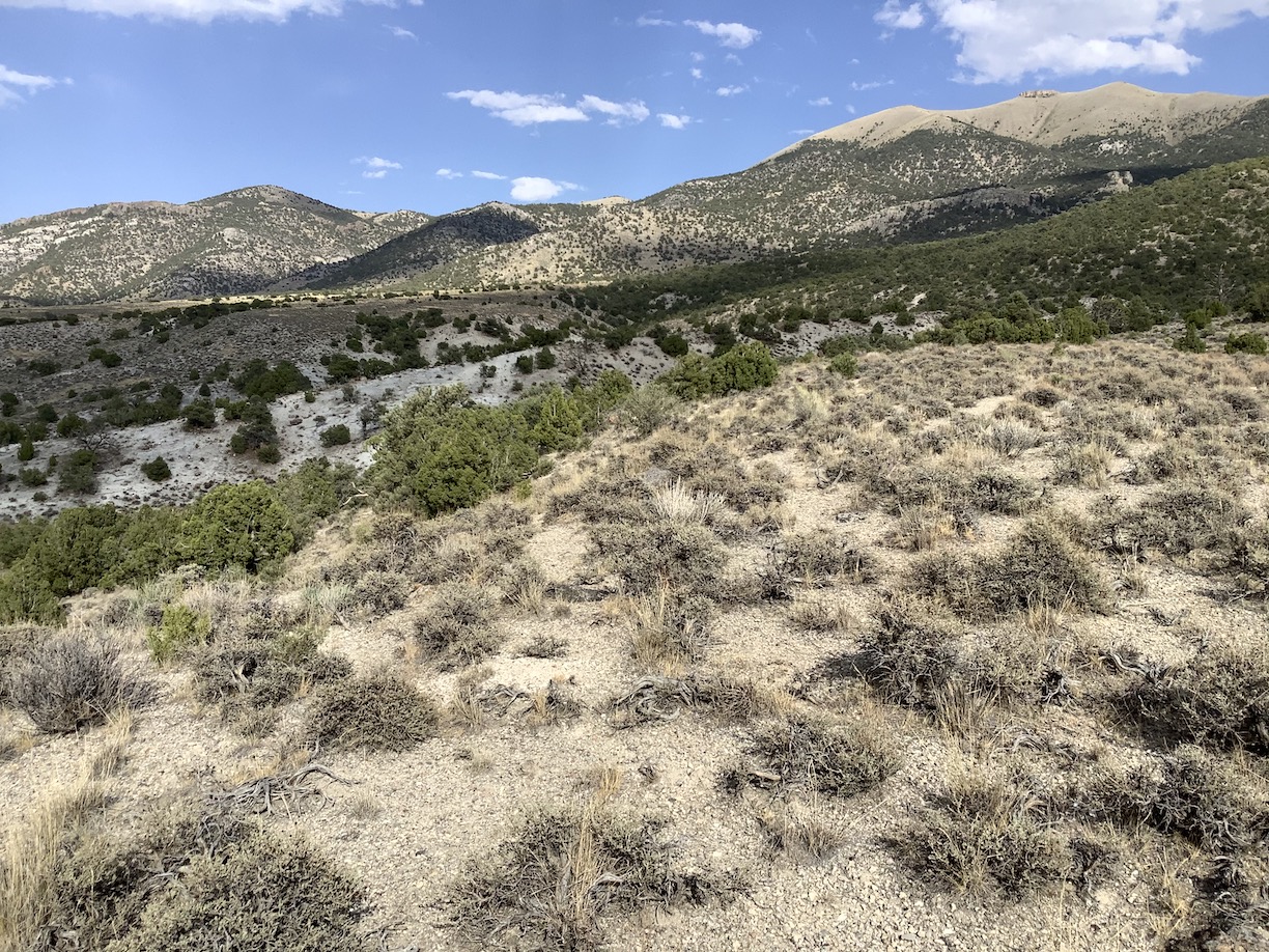 Hunting and Camping Paradise