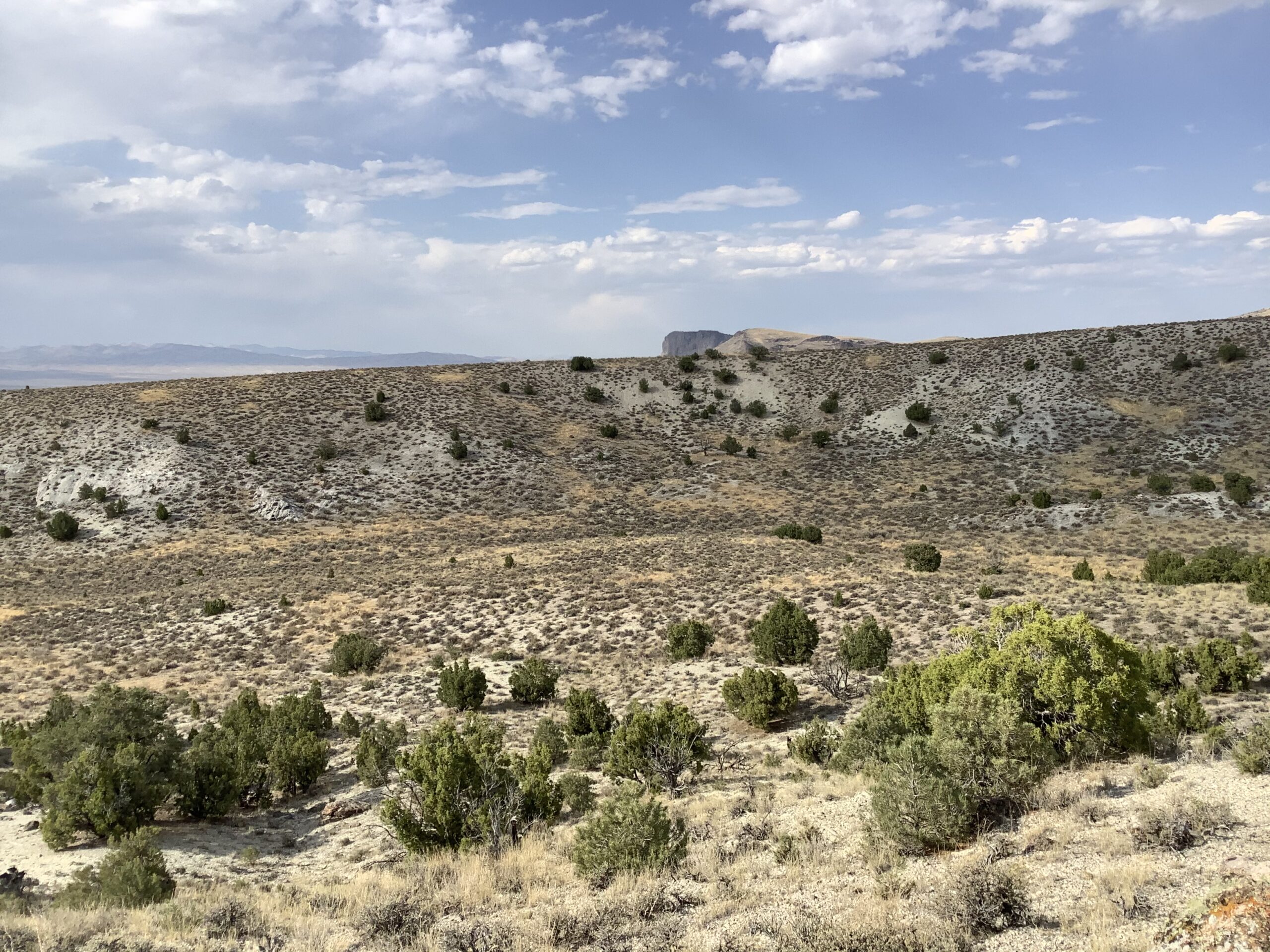 Hunting and Camping Paradise