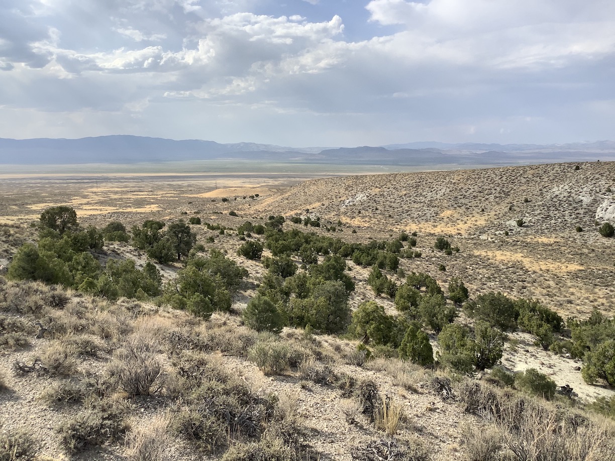Hunting and Camping Paradise