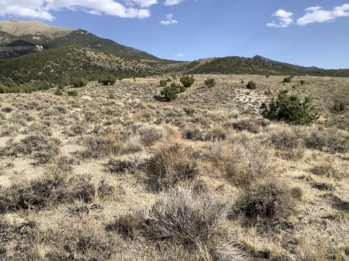 Hunting and Camping Paradise