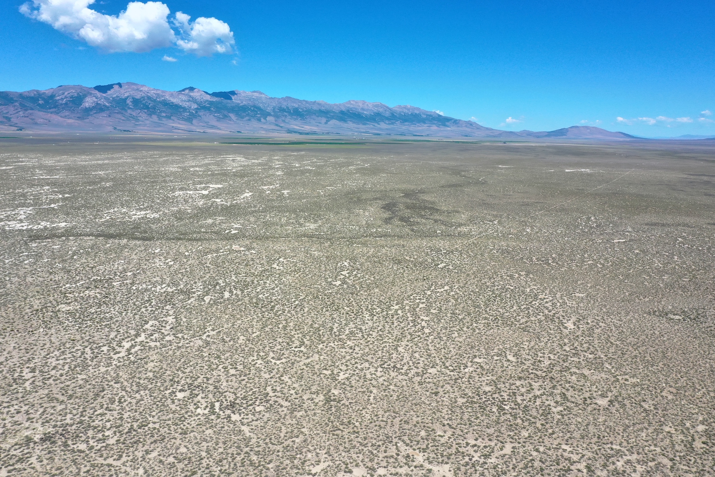 40 Acres in Clover Valley