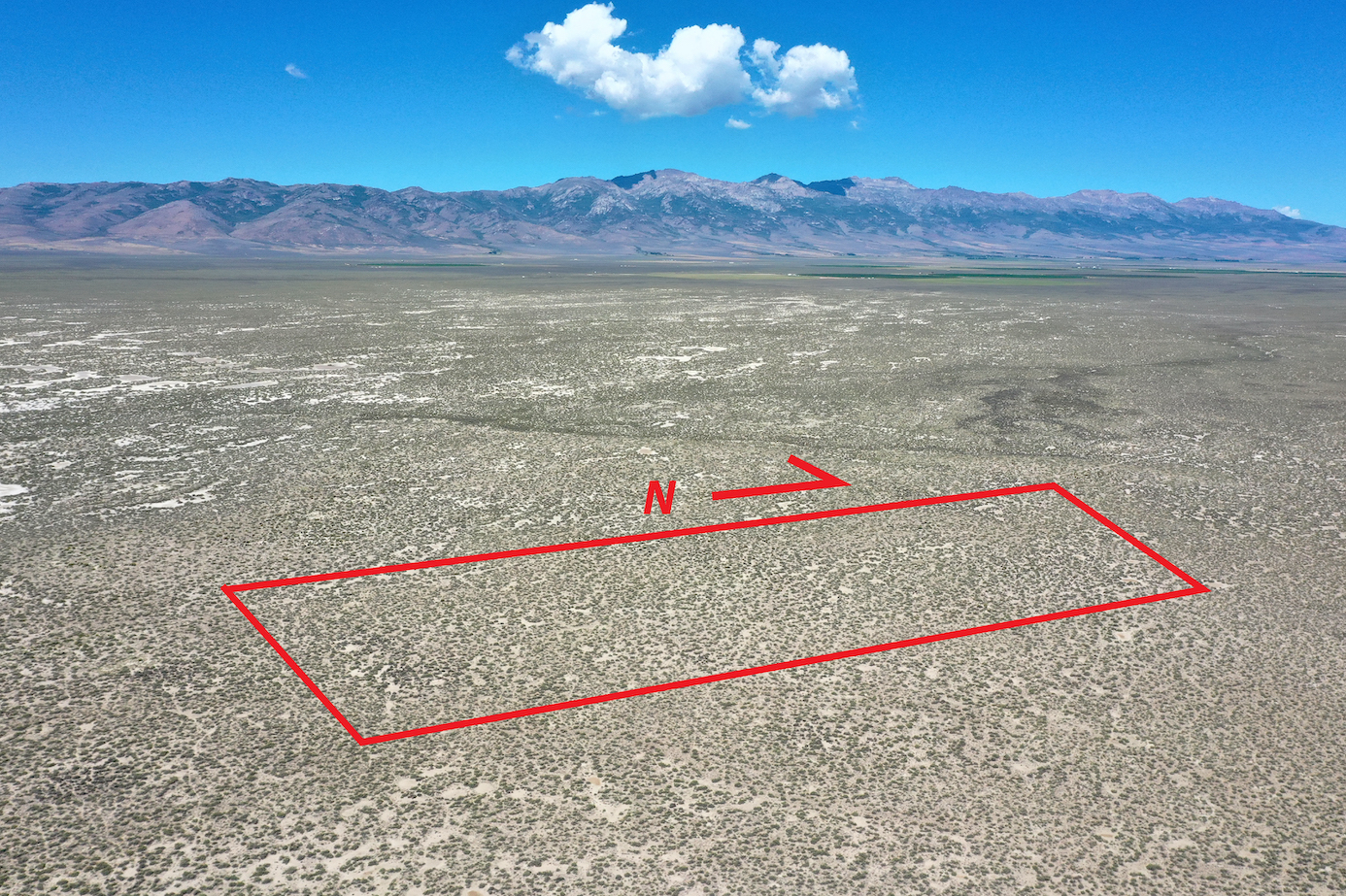 40 Acres in Clover Valley