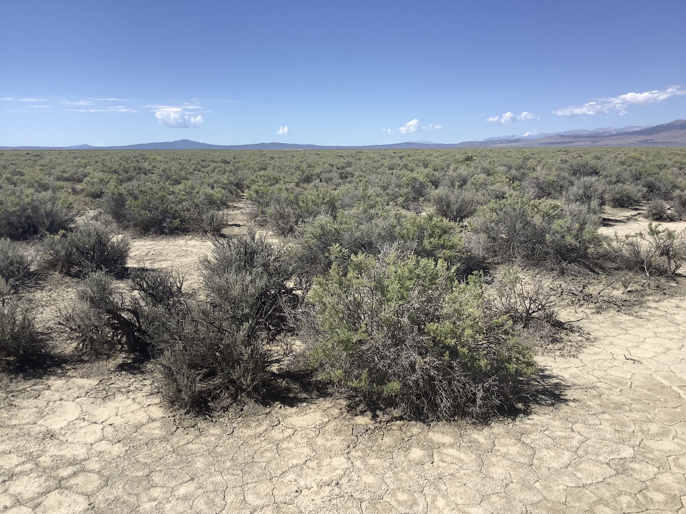 40 Acres in Clover Valley