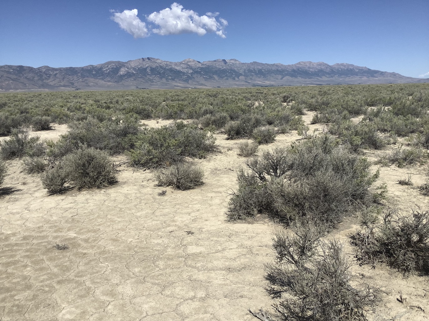 40 Acres in Clover Valley