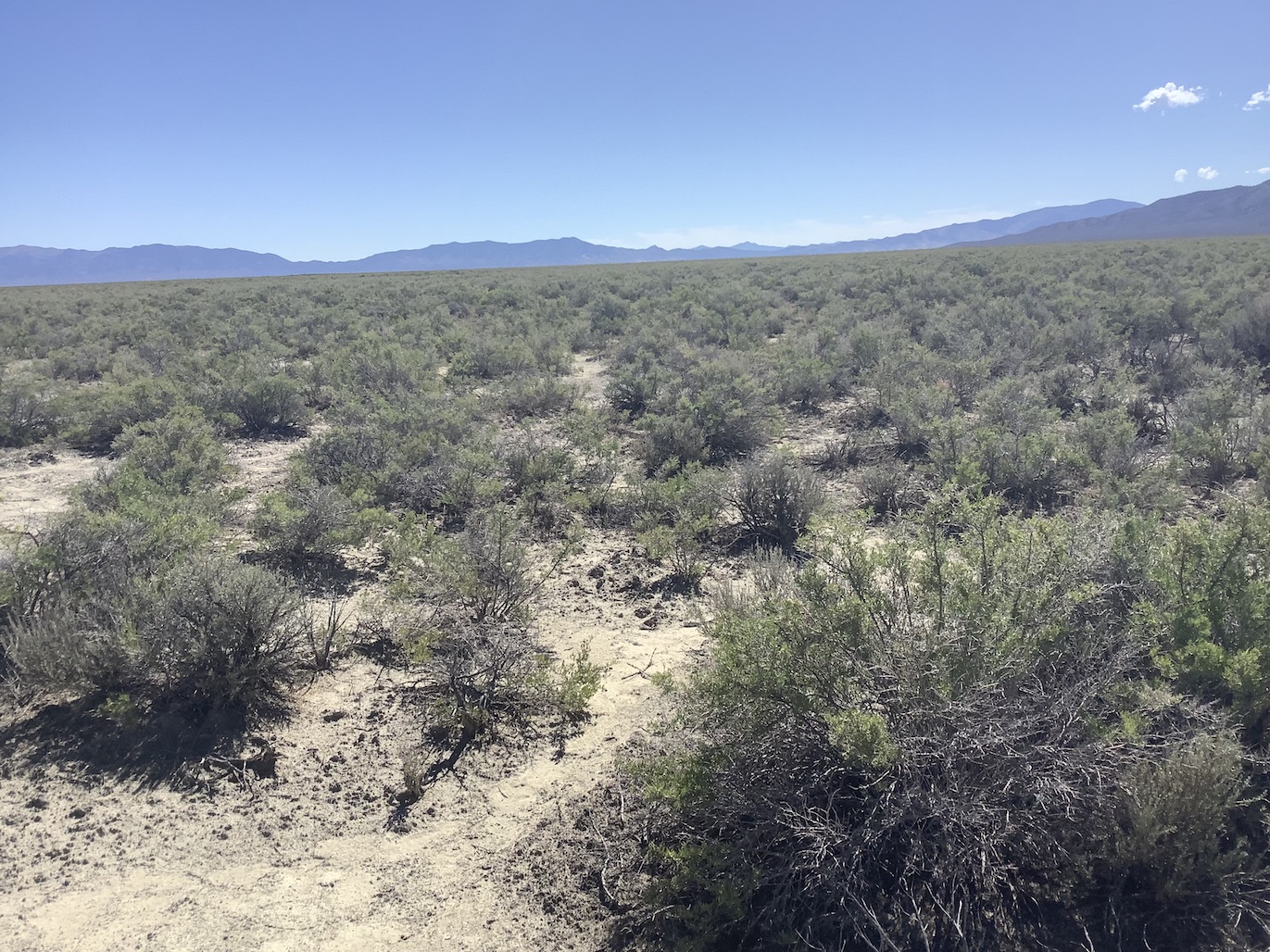 40 Acres in Clover Valley