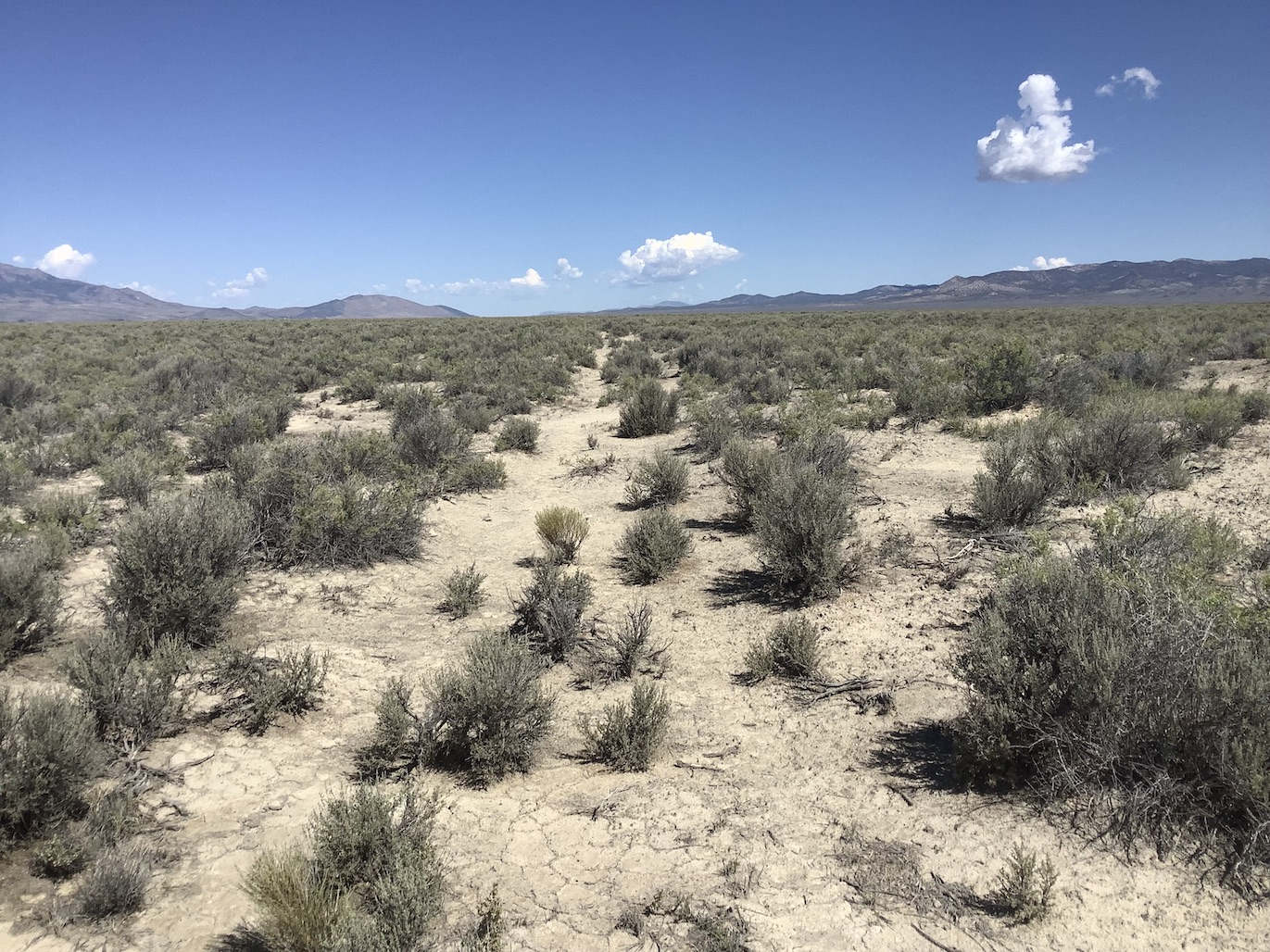 40 Acres in Clover Valley
