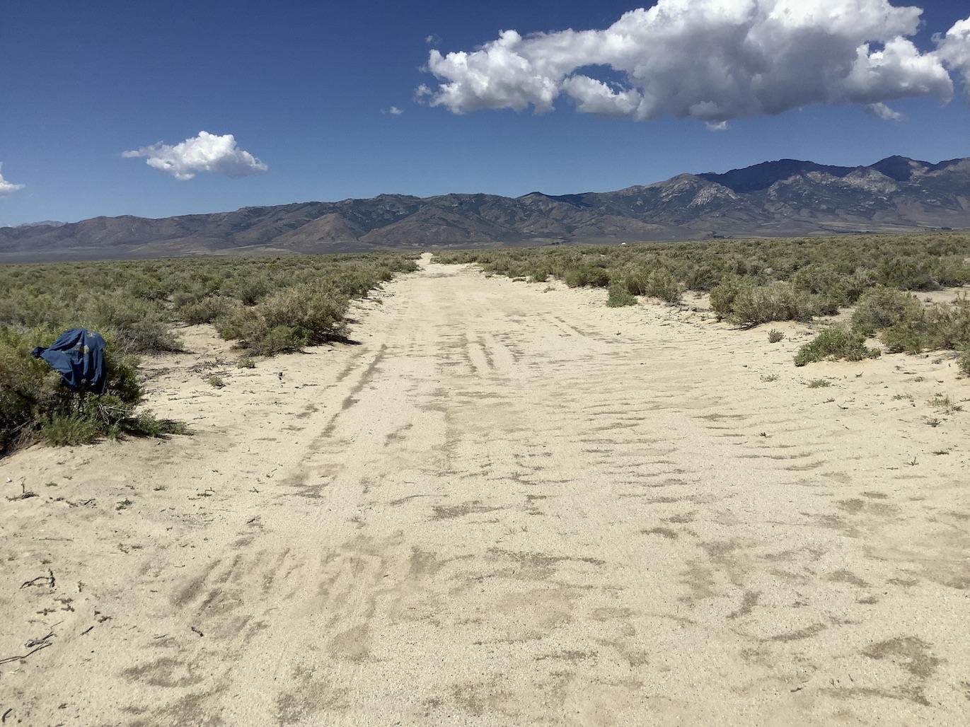 40 Acres in Clover Valley