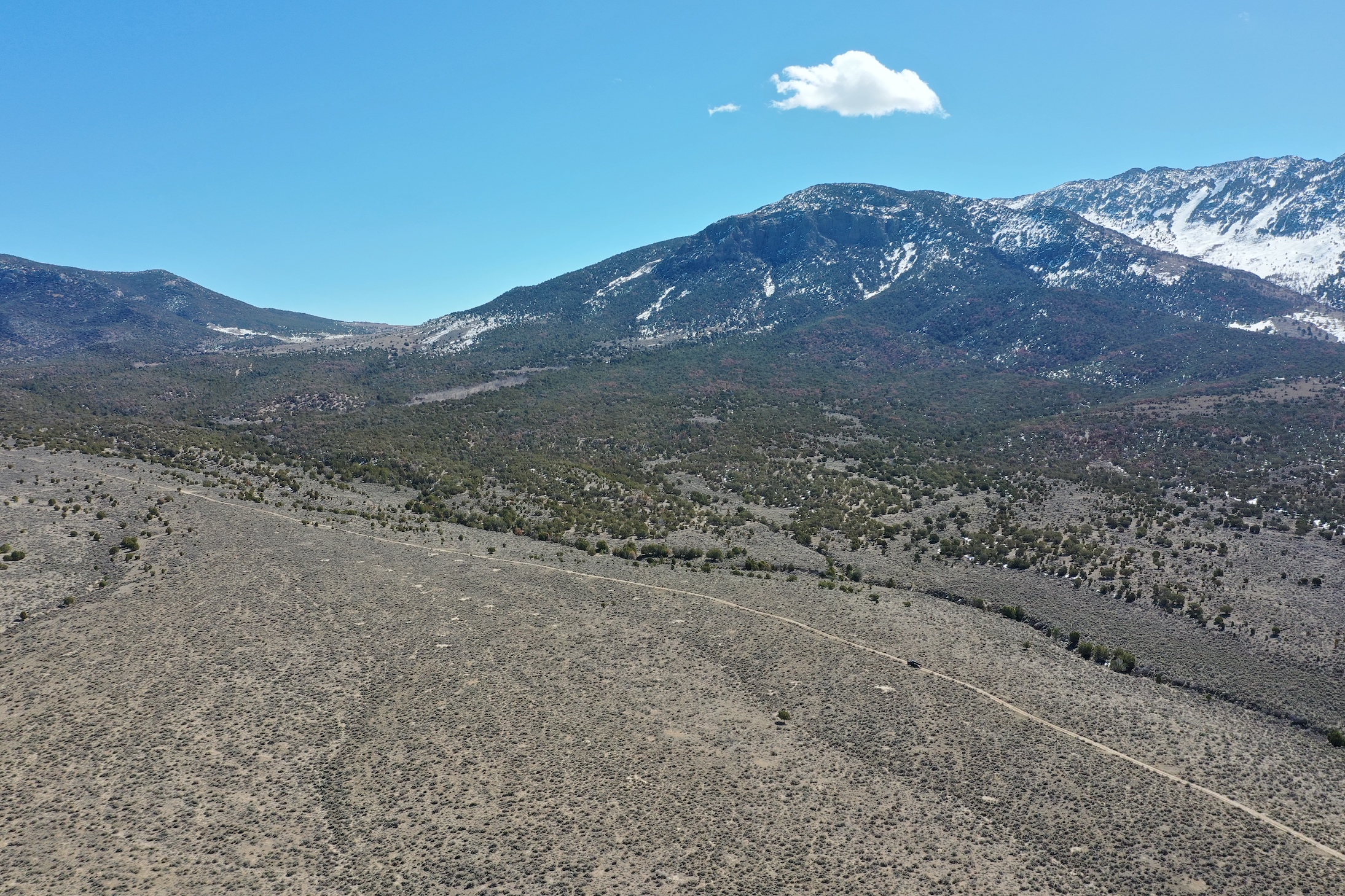 Unlimited Possibilities on 20 Acres