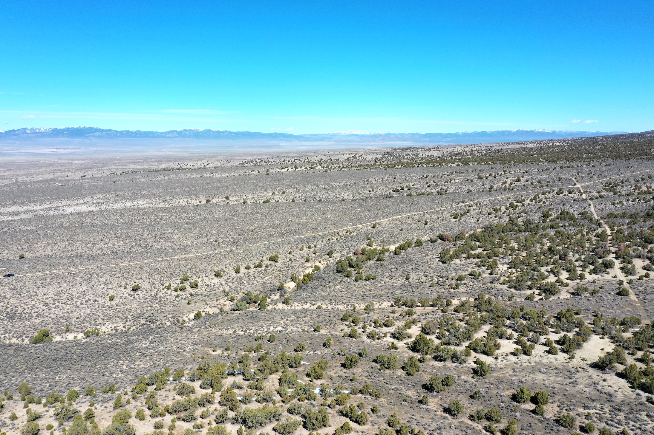 Unlimited Possibilities on 20 Acres