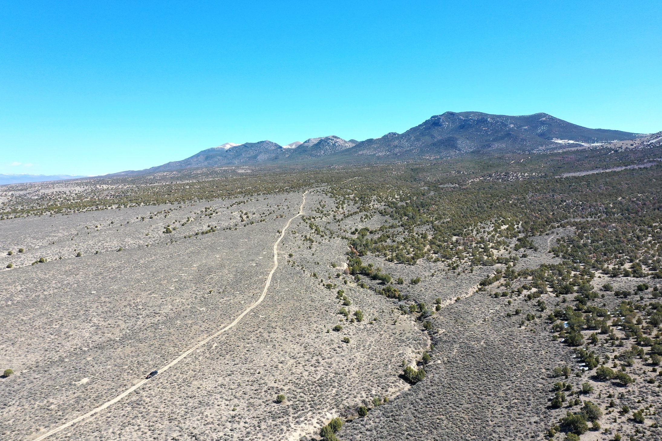 Unlimited Possibilities on 20 Acres