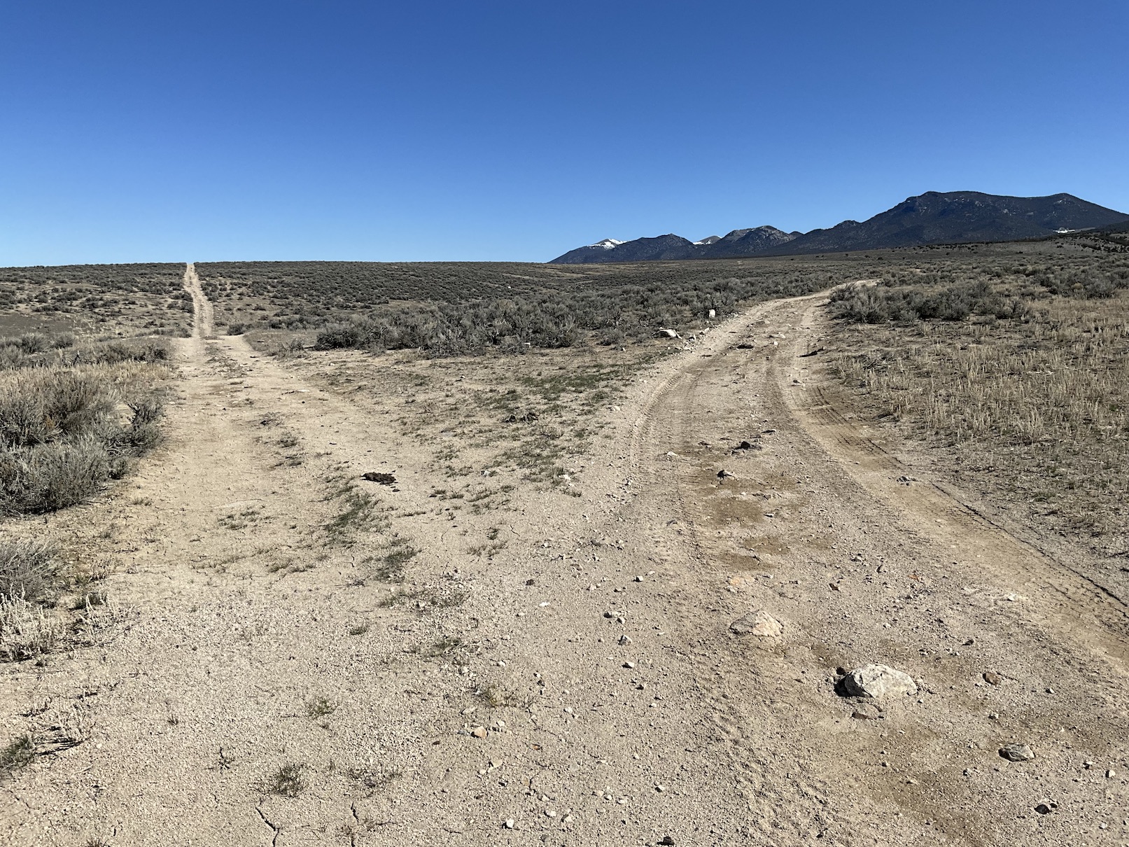 Unlimited Possibilities on 20 Acres