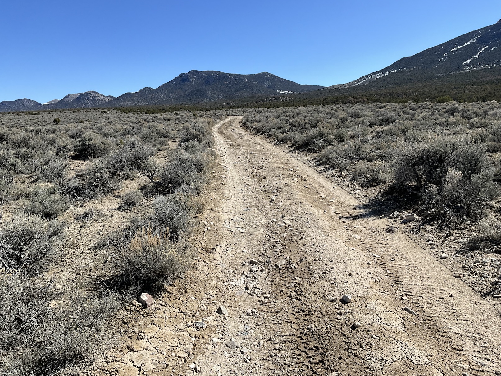 Unlimited Possibilities on 20 Acres