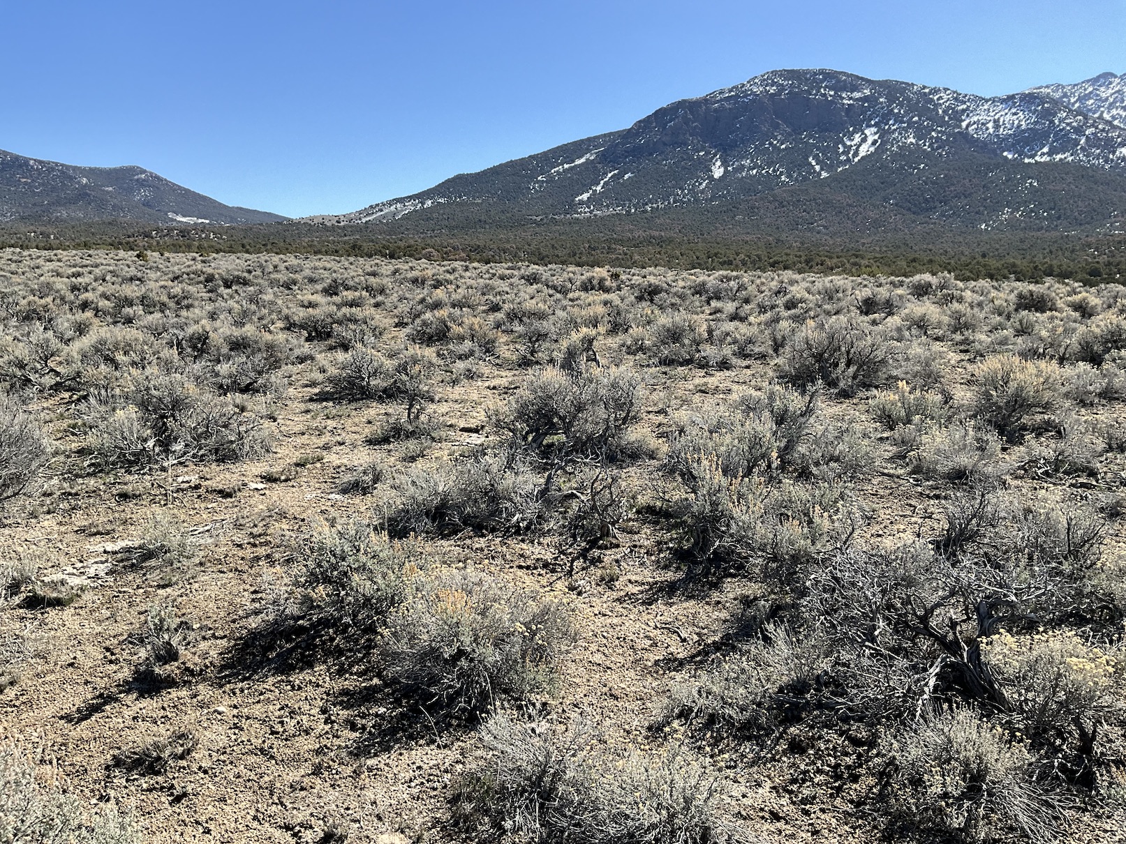 Unlimited Possibilities on 20 Acres