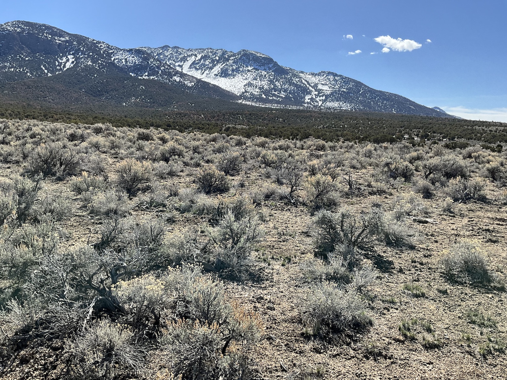 Unlimited Possibilities on 20 Acres