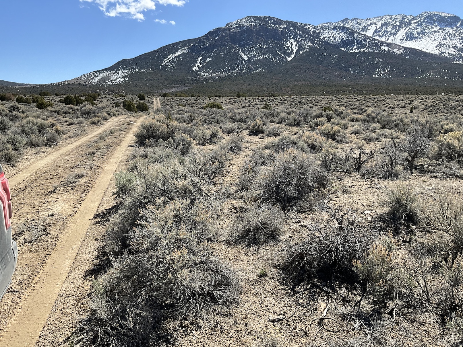 Unlimited Possibilities on 20 Acres