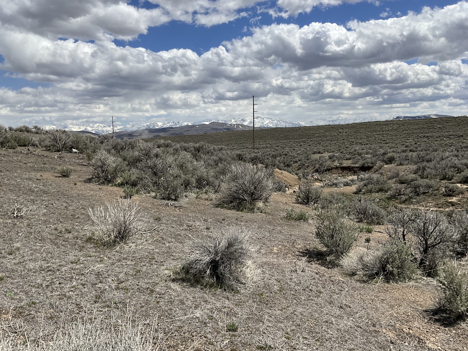 10 Minutes from Downtown Elko, NV