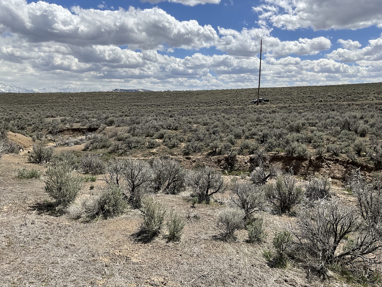 10 Minutes from Downtown Elko, NV