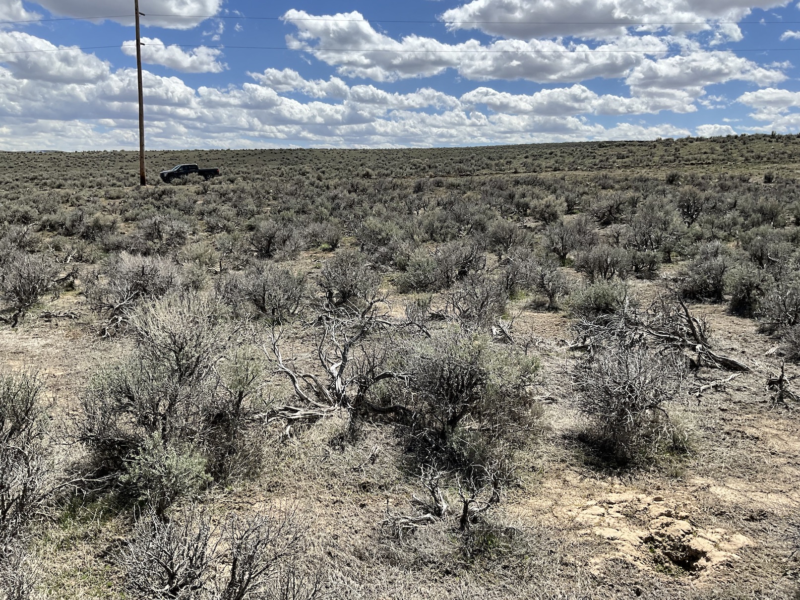 10 Minutes from Downtown Elko, NV