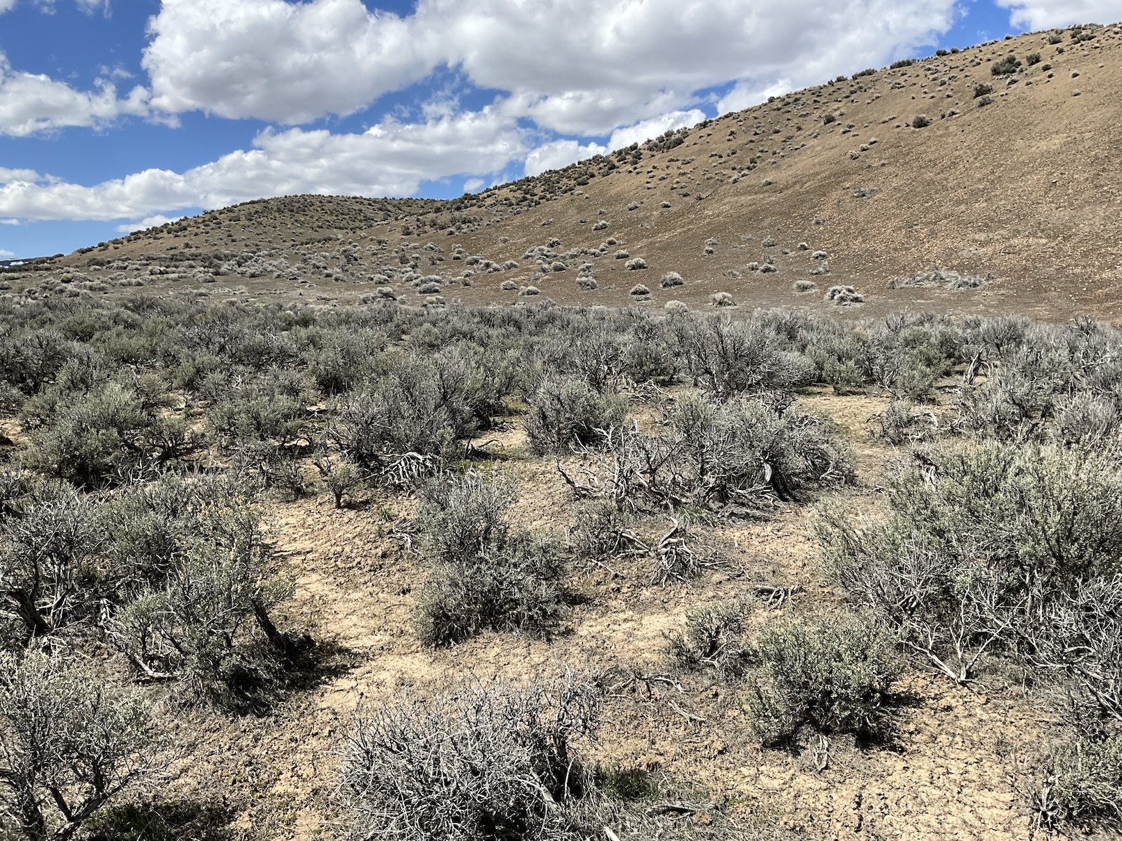 10 Minutes from Downtown Elko, NV