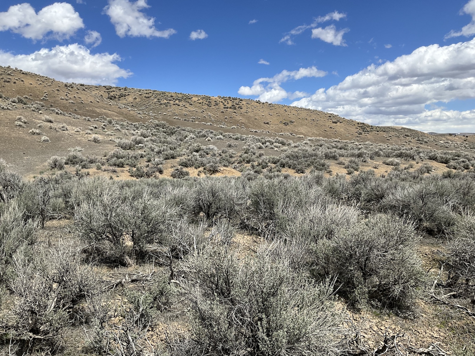 10 Minutes from Downtown Elko, NV