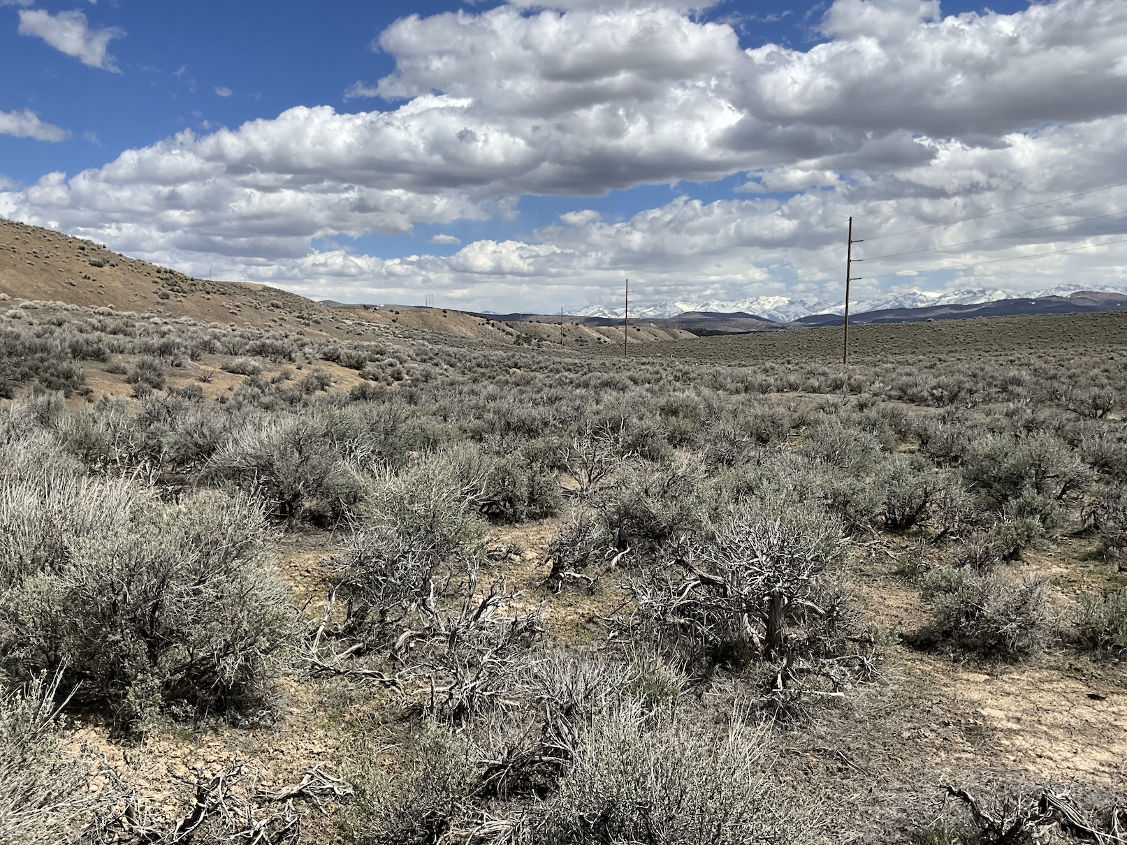 10 Minutes from Downtown Elko, NV